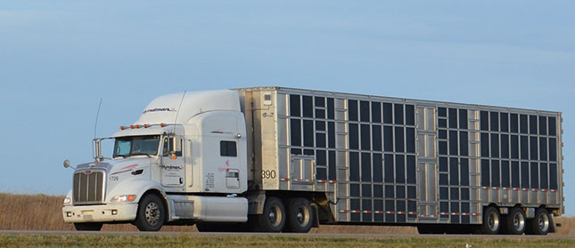 CTA Talks ELDs, Training Before Livestock Committee - Canadian Trucking  Alliance
